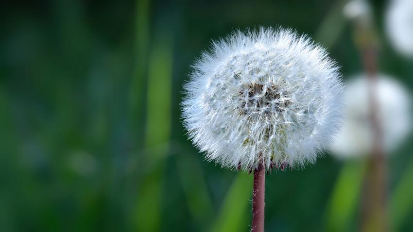 Boule de lumire