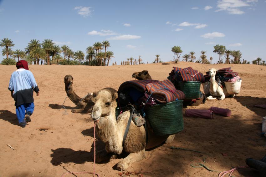 TREK Sud Marocain