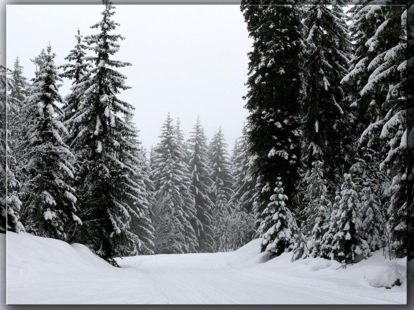 Courchevel sous la neige