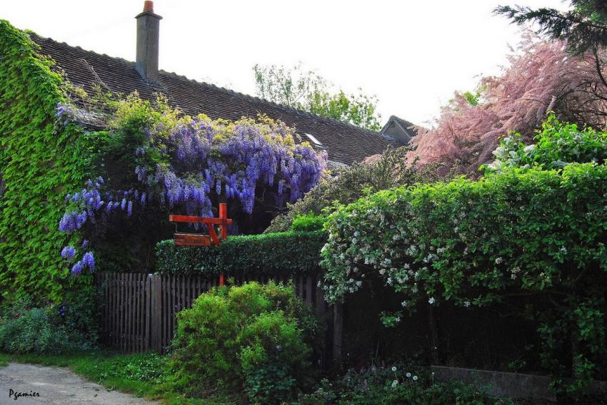 Ma maison au printemps