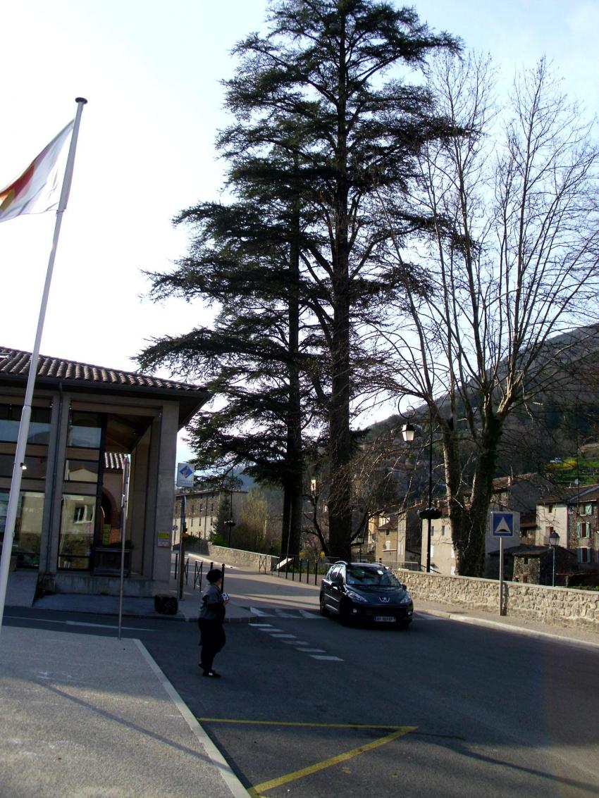 valleraugue