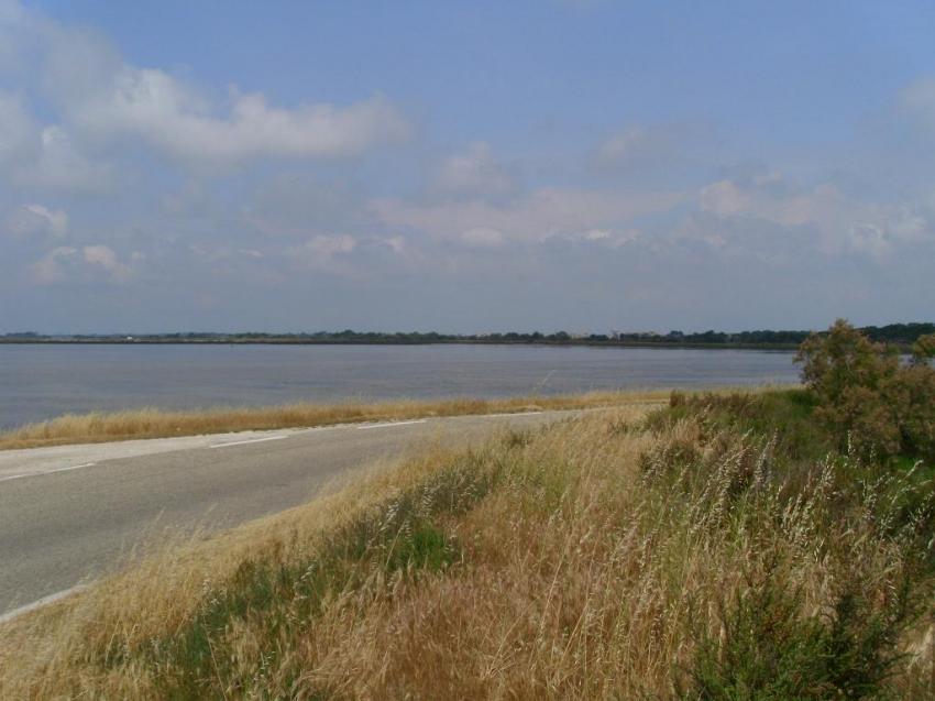 salins du giraud