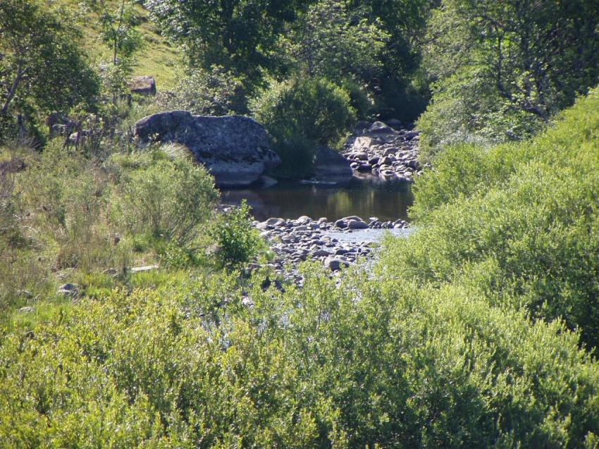 riviere le bel