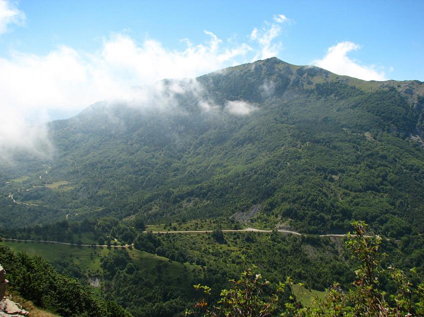 Le grand Delmas 