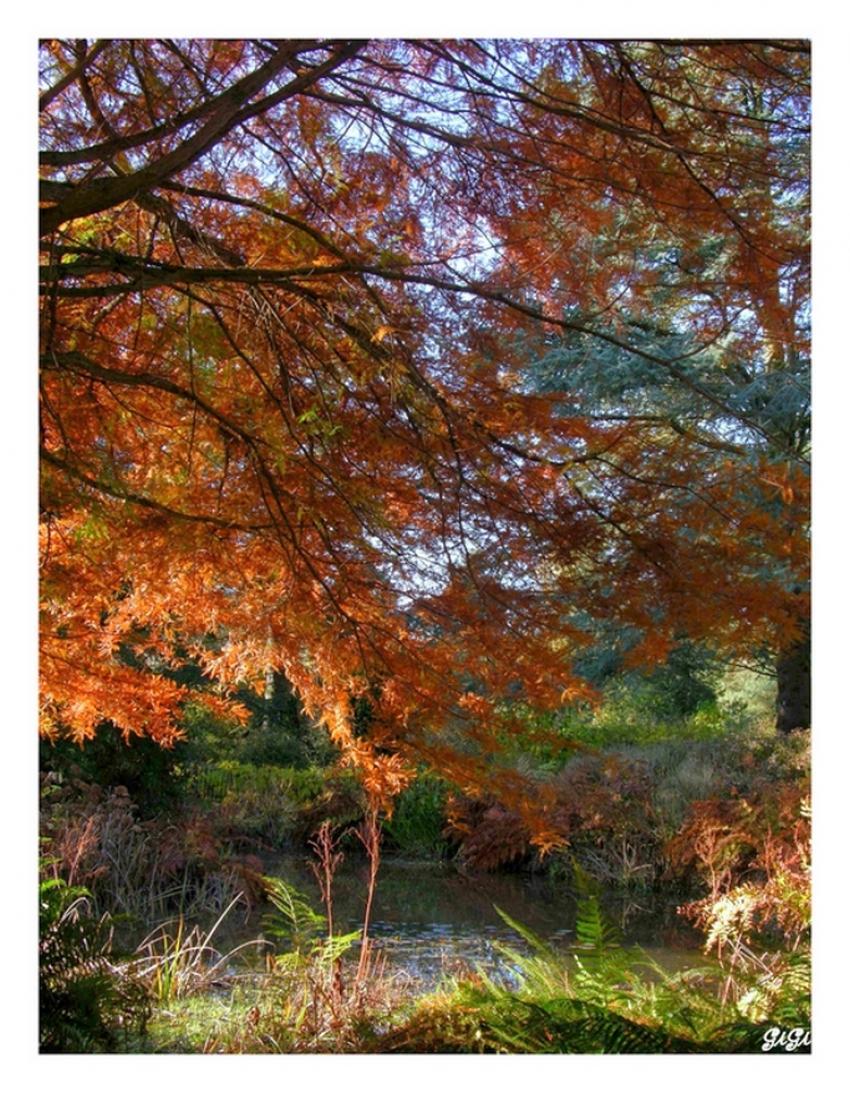 AUTOMNE.