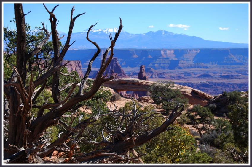 Canyon Land - Utah