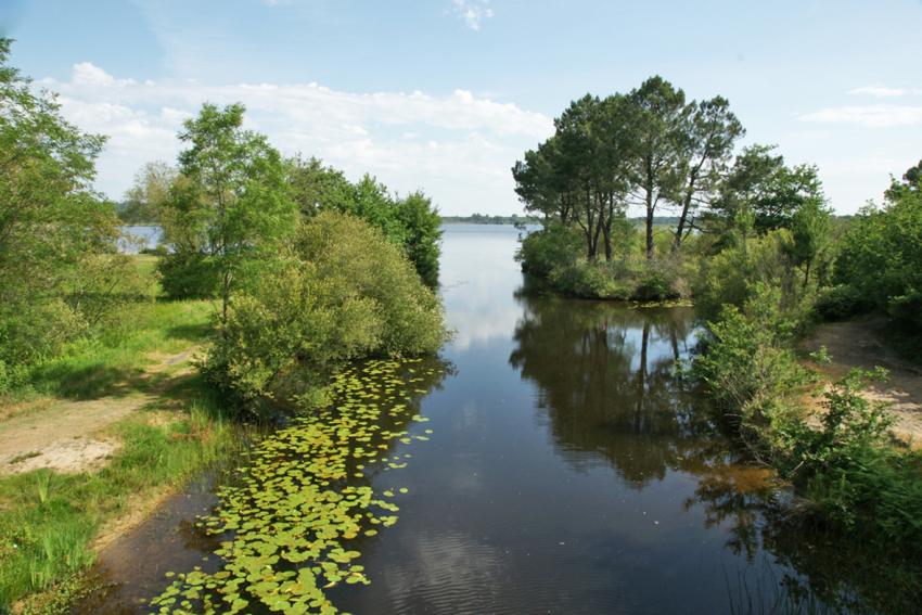 Lacs Landais