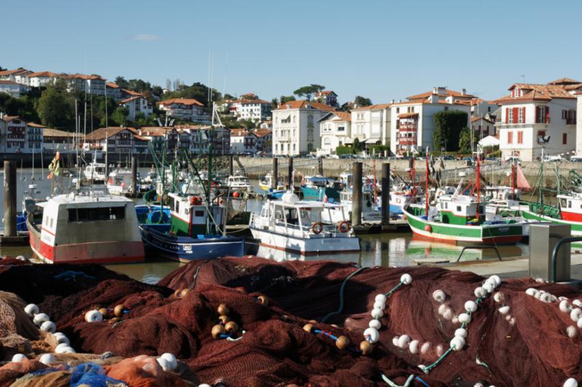 Cte Basque