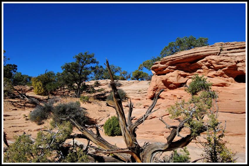 Canyon Land - Utah