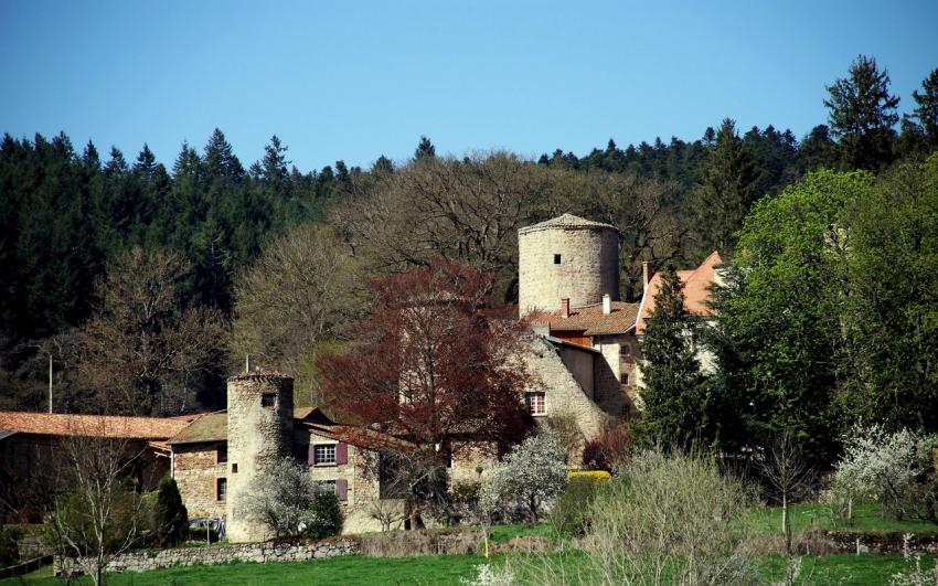 Chateau de la Merle ,Loire 42