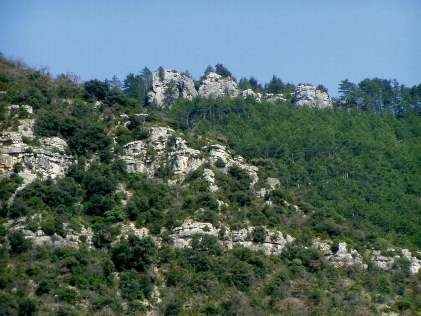 vers millau