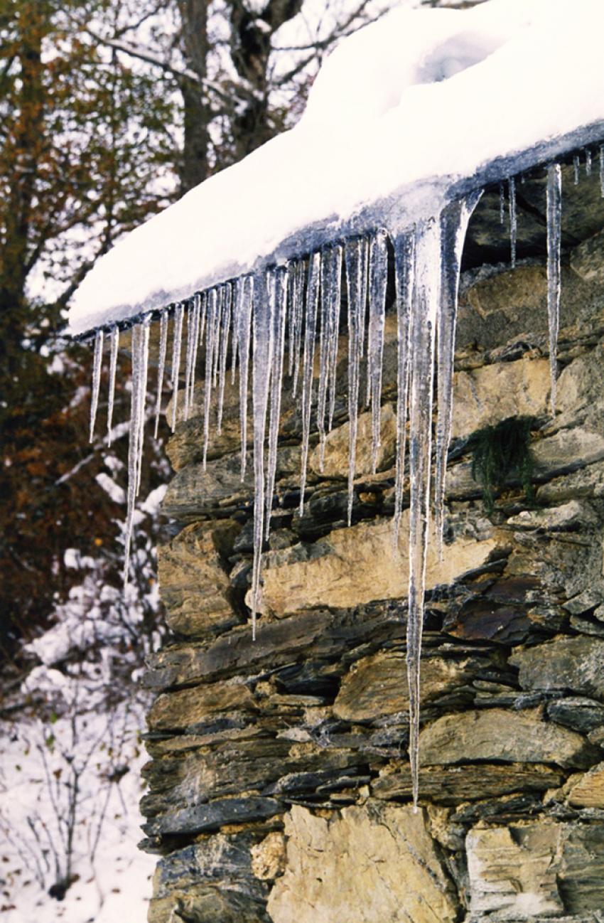 Neige