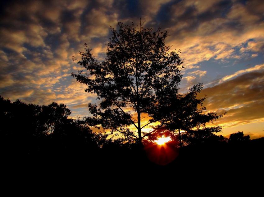 Coucher de soleil d'automne