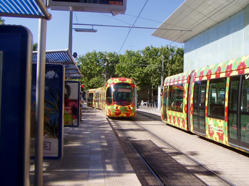 montpellier