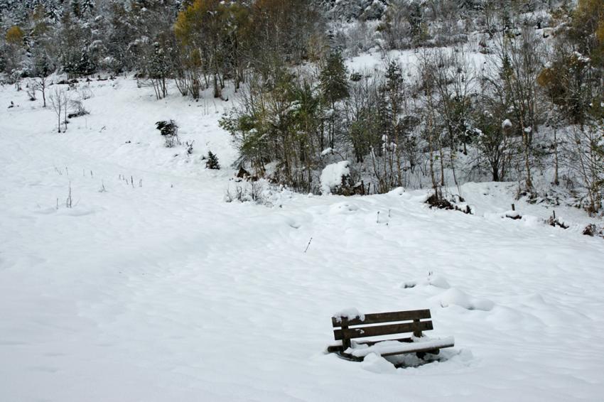 Neige