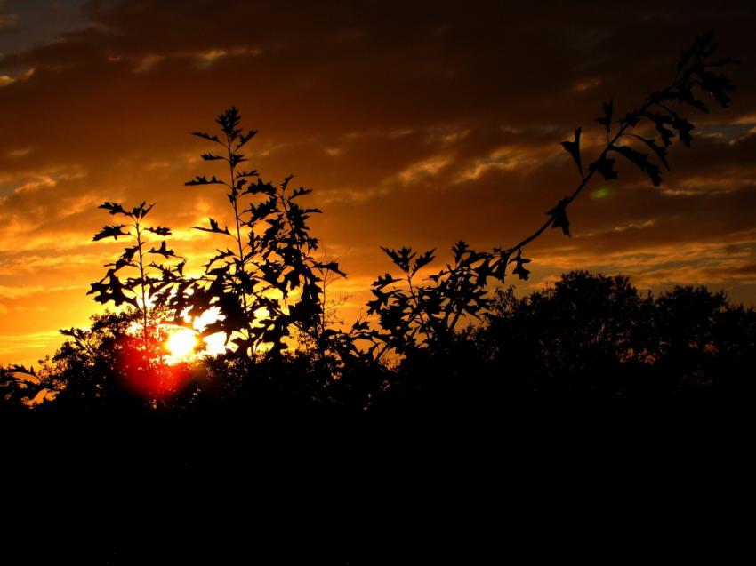 Coucher de soleil d'automne