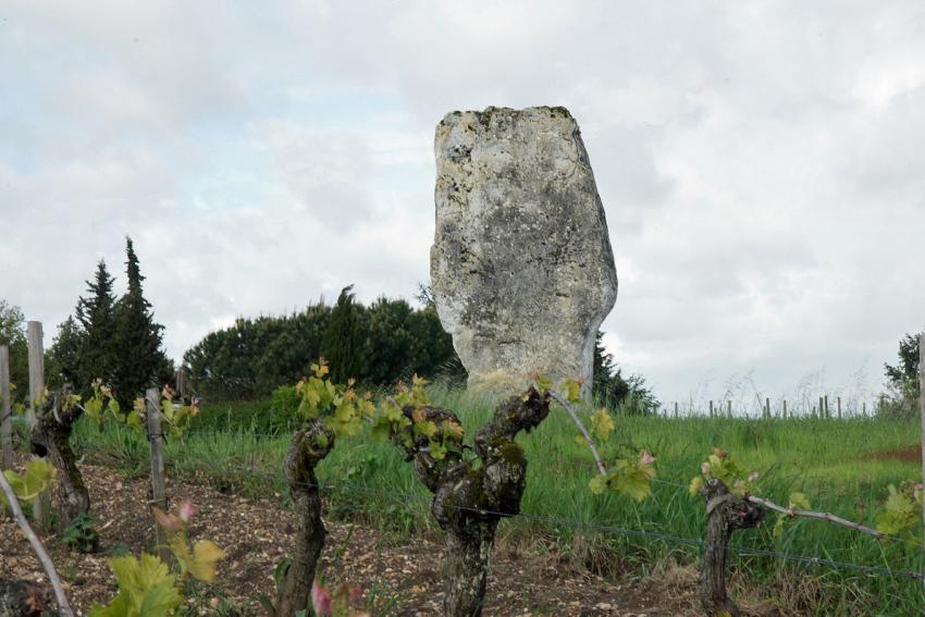 Bords de Garonne