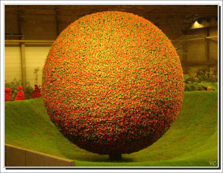 L'arbre en boule