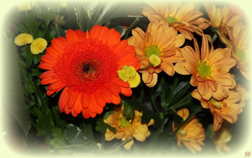 Couleurs oranges.