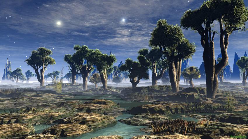 Paysage
