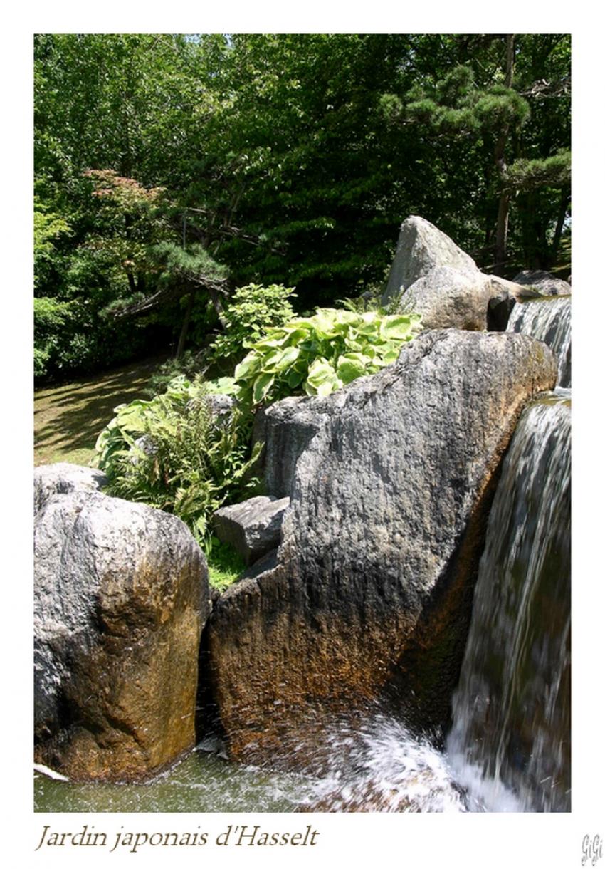 Cascade.
