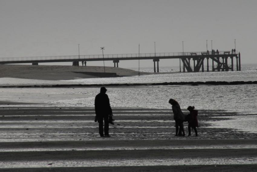 bords du bassin d'arcachon