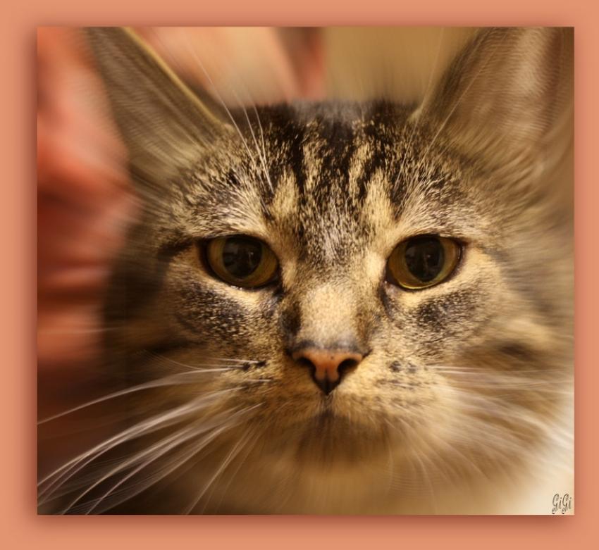 Regard ...... envotant !!!