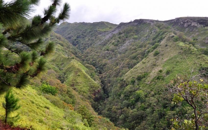 les hauteurs de Tahiti