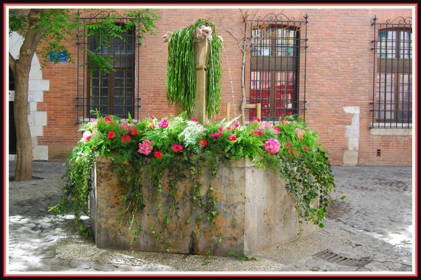 Fontaine dcore  Perpignan