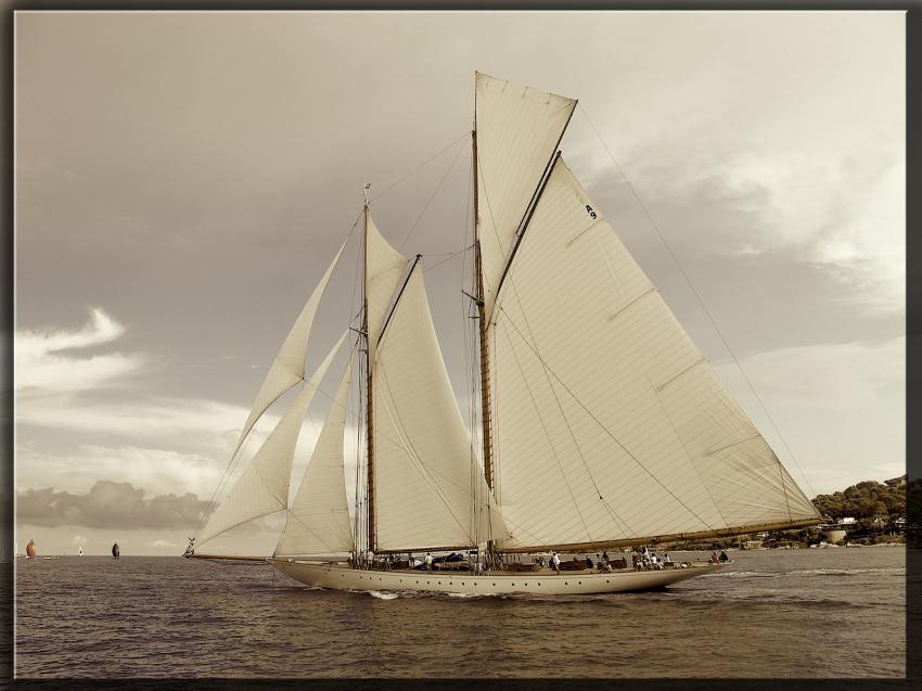 Voiles de Saint-Tropez