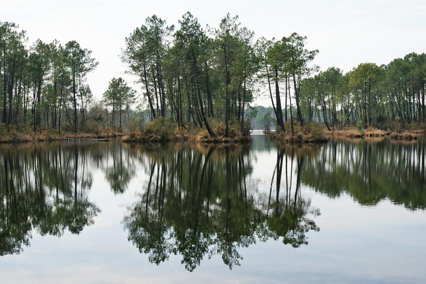 Reflets