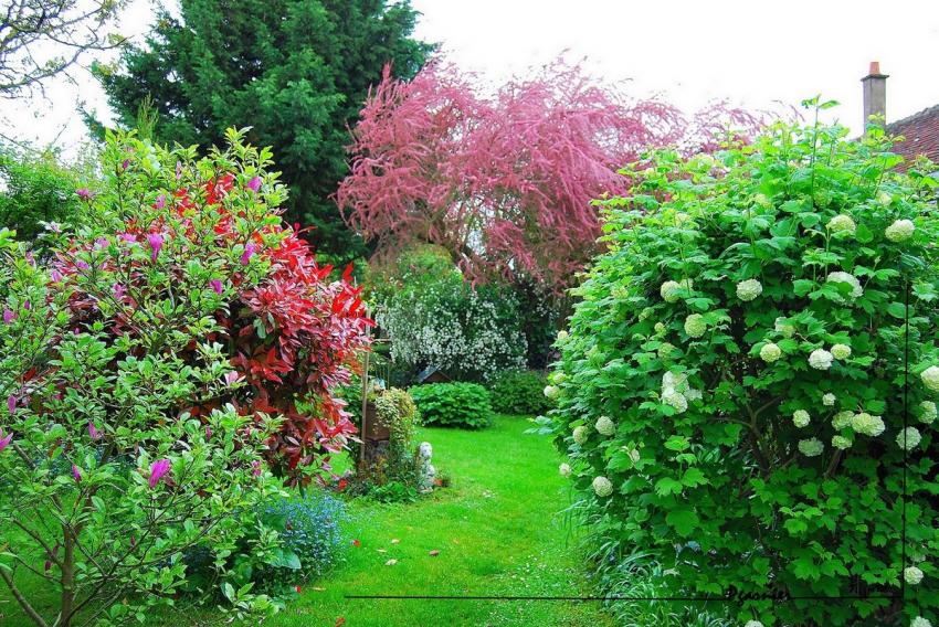 Jardin de printemps