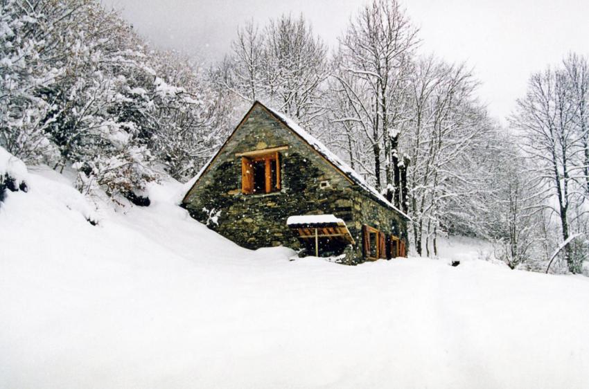 Neige