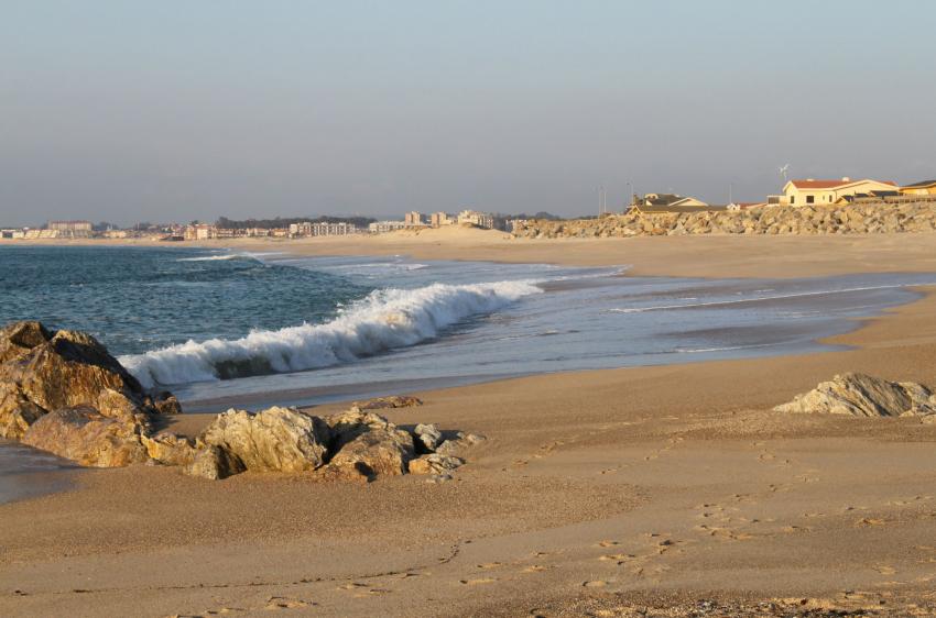 Sur la plage abandonne....