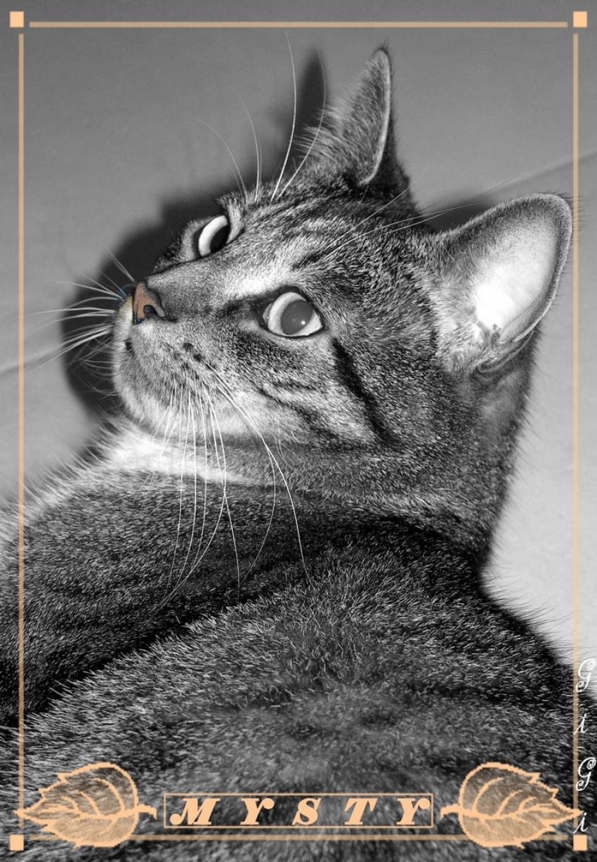 Tendre regard.