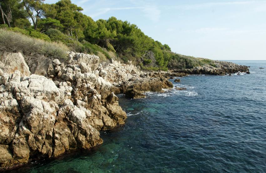 Cap d' Antibes