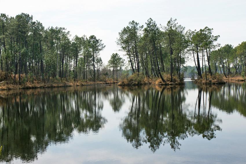 Reflets