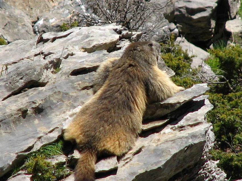 Je monte la garde !!