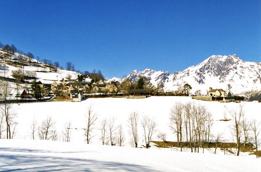 Neige