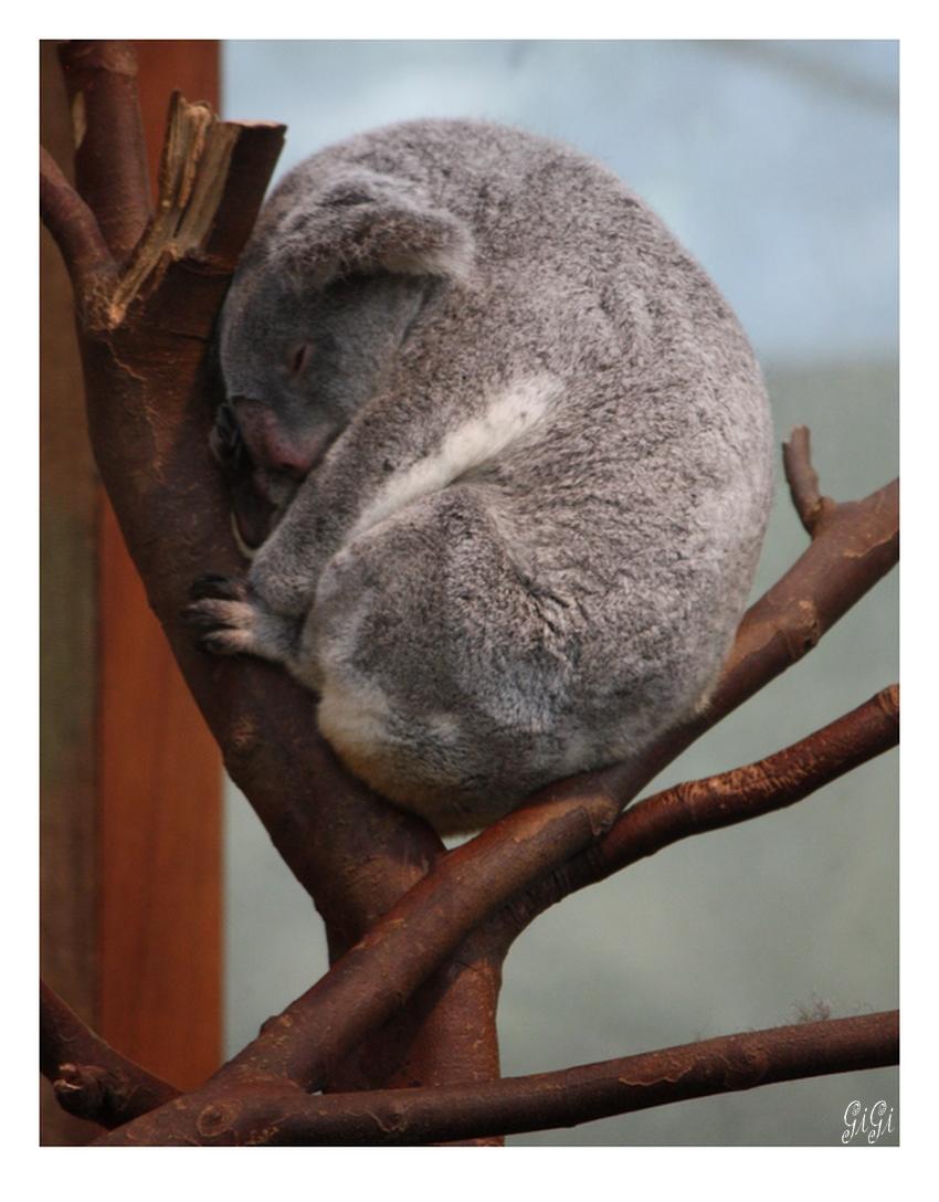 J'ai sommeil.