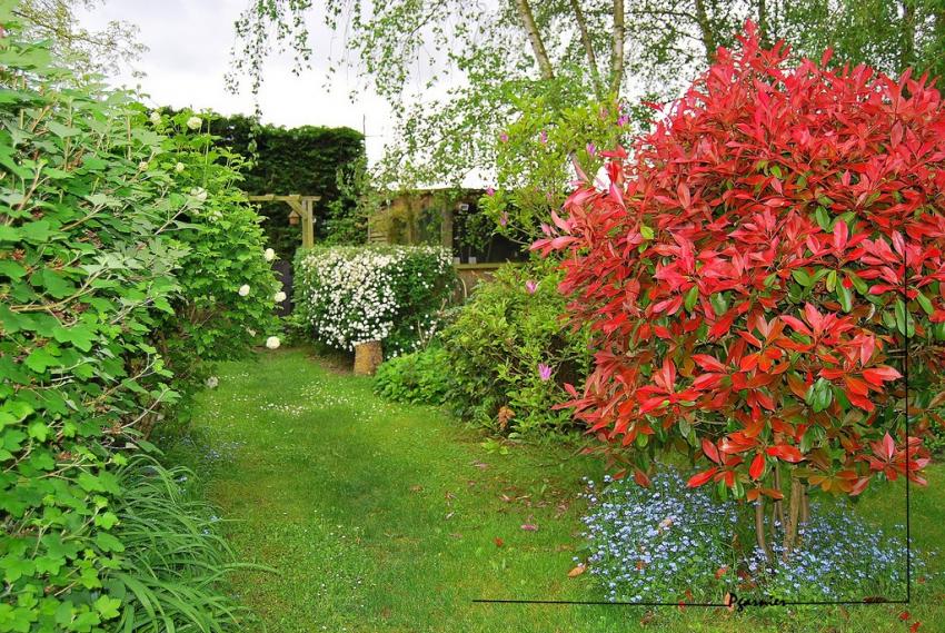 Jardin de printemps