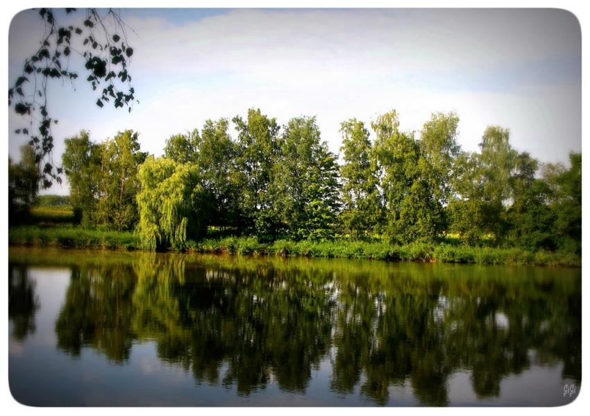 Reflets.....
