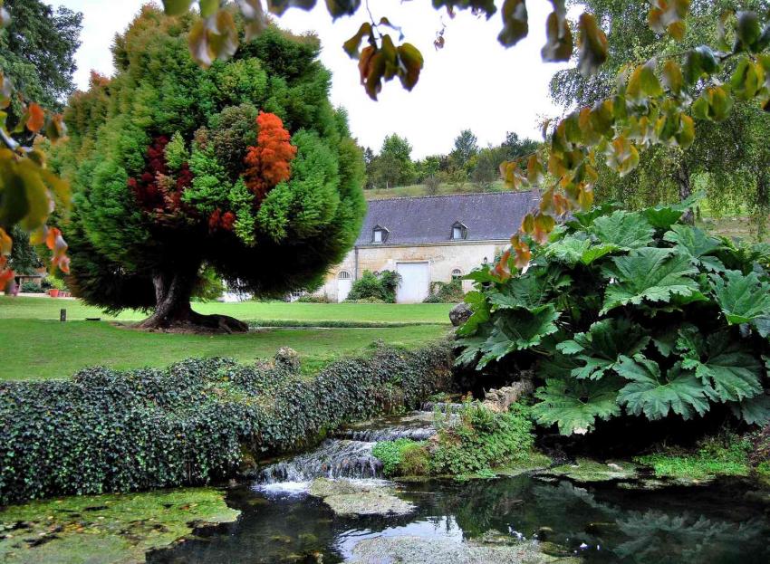 Jardin de Touraine