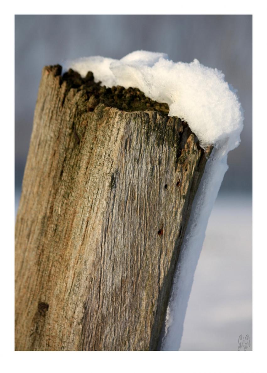 C'est l'hiver.