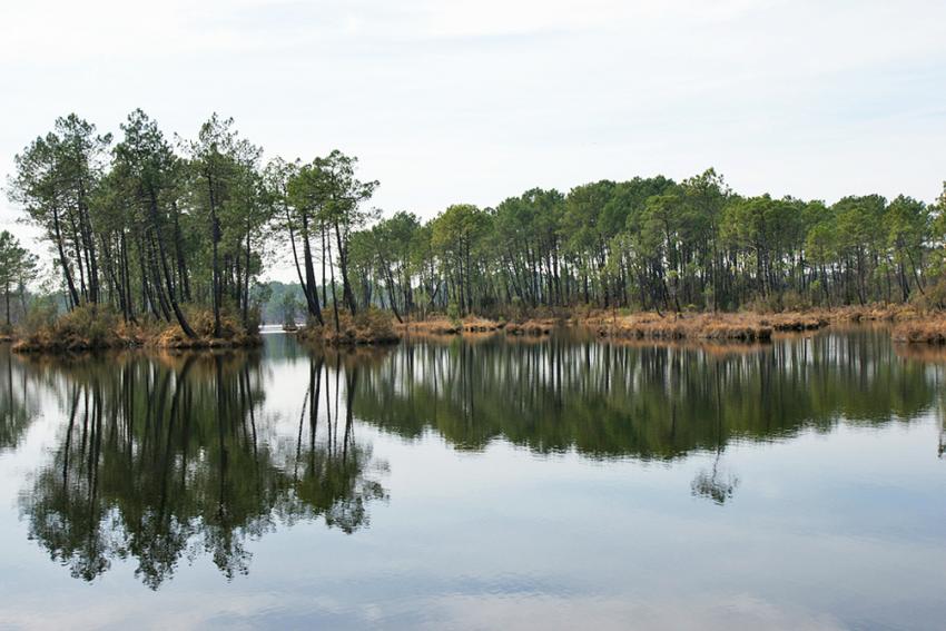 Reflets