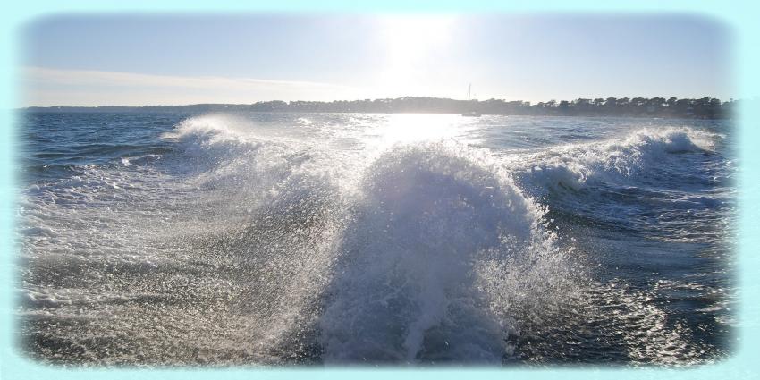 Bassin d'Arcachon
