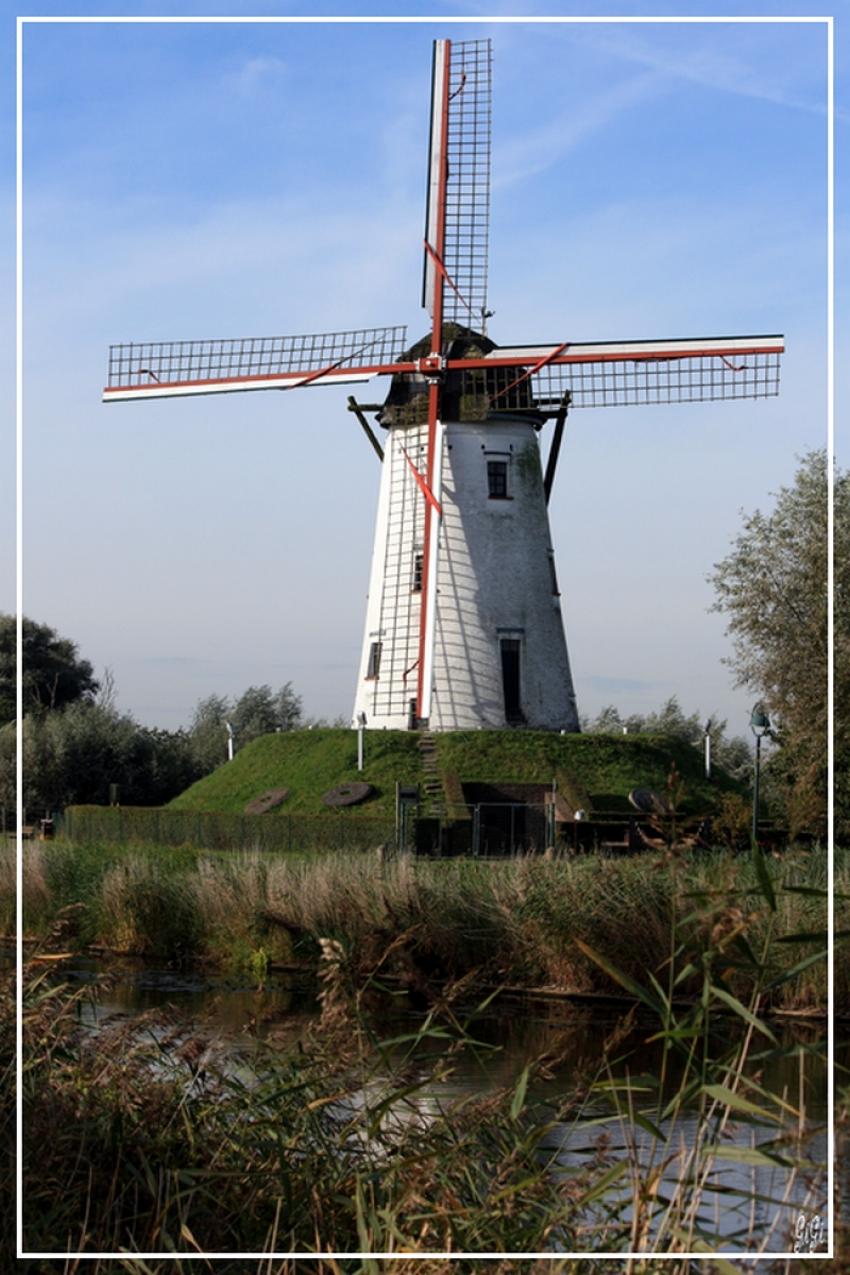 Le moulin de Damme