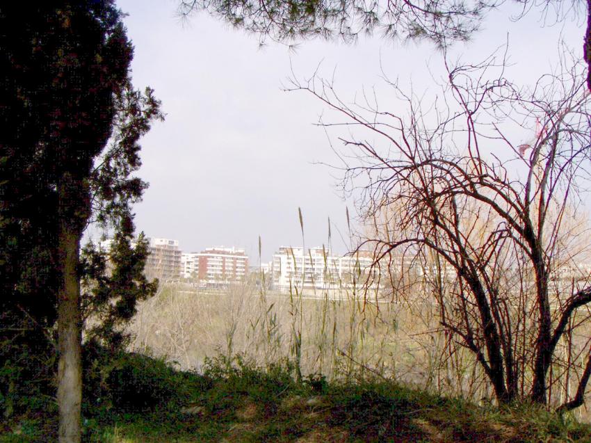 chemin montpellier