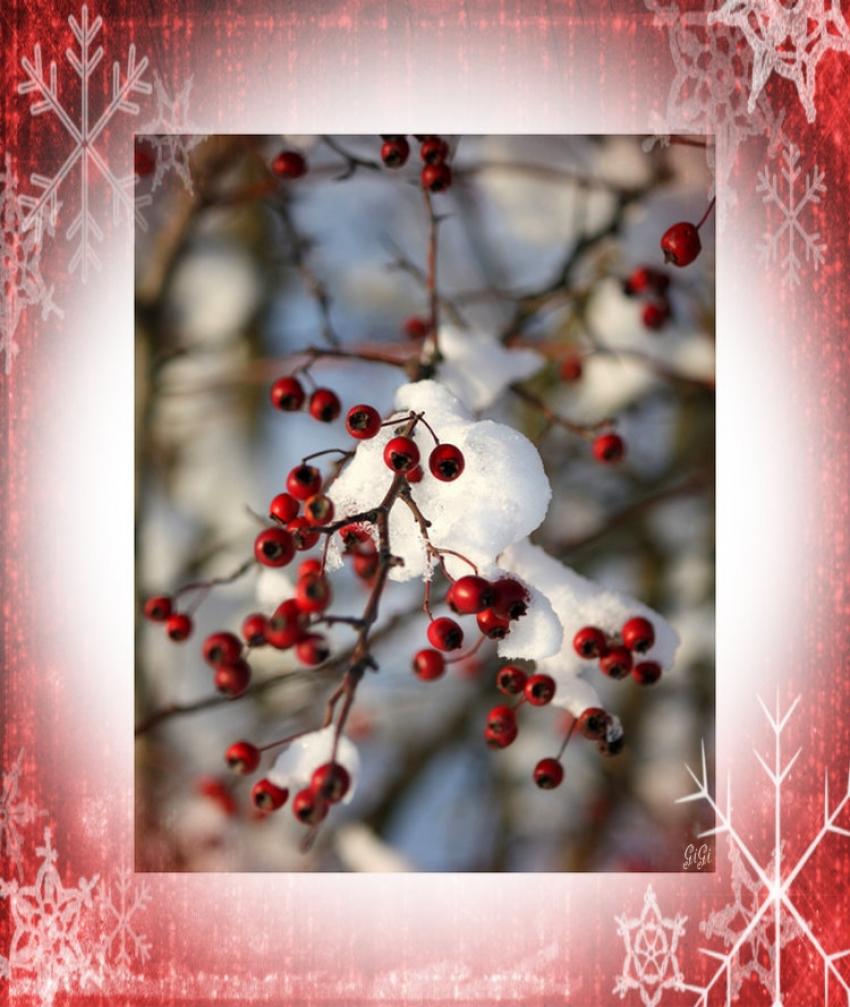 L'hiver