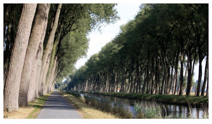 Le plat pays
